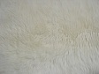 White Fur Texture.jpg
